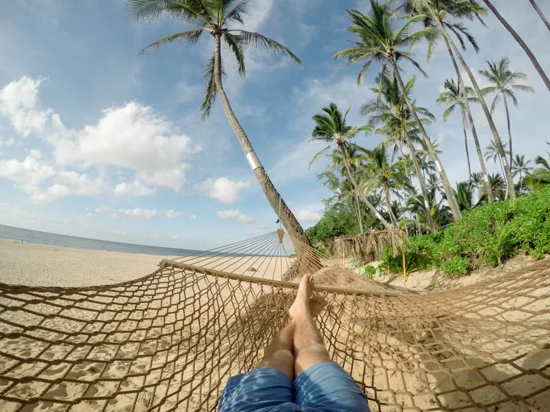 Person resting in a hammock between palm trees beside the beach, evoking the light, easy calm happy gas is designed to bring