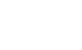 transparent logo.png